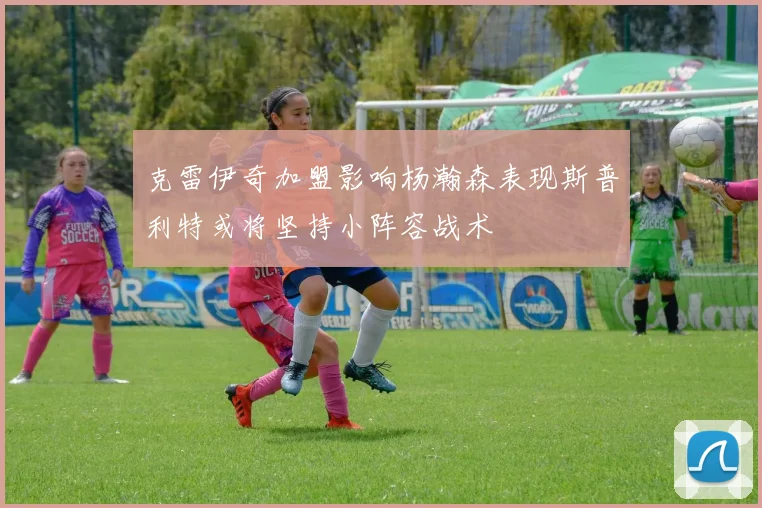 克雷伊奇加盟影响杨瀚森表现斯普利特或将坚持小阵容战术