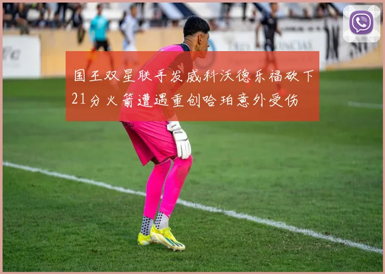 国王双星联手发威科沃德乐福砍下21分火箭遭遇重创哈珀意外受伤